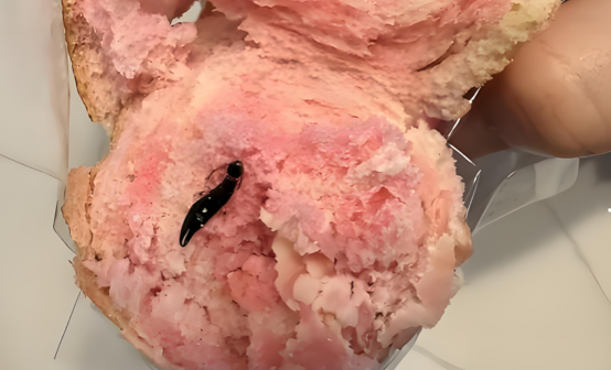 面包里面竟然出现虫子 消费者质疑生产日期真实性